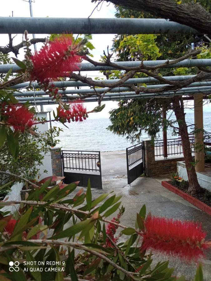 View Sea House
